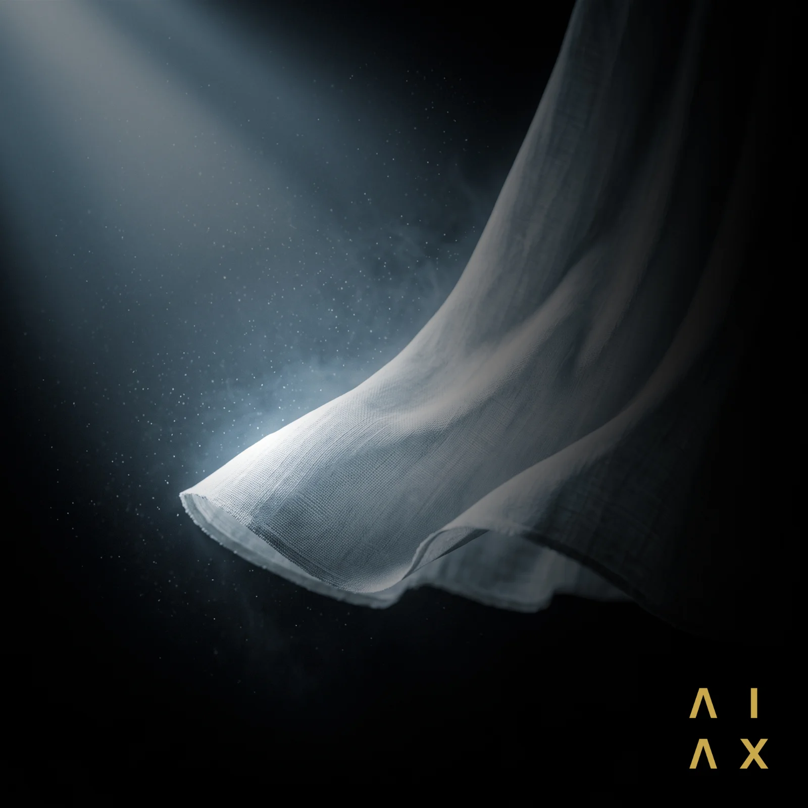 Cover of AER