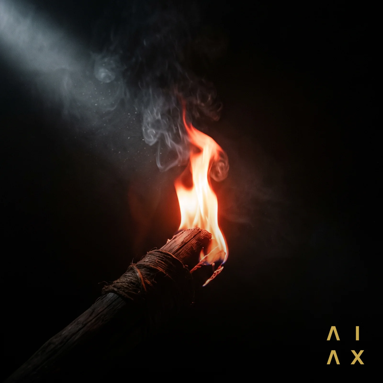 Cover of IGNIS